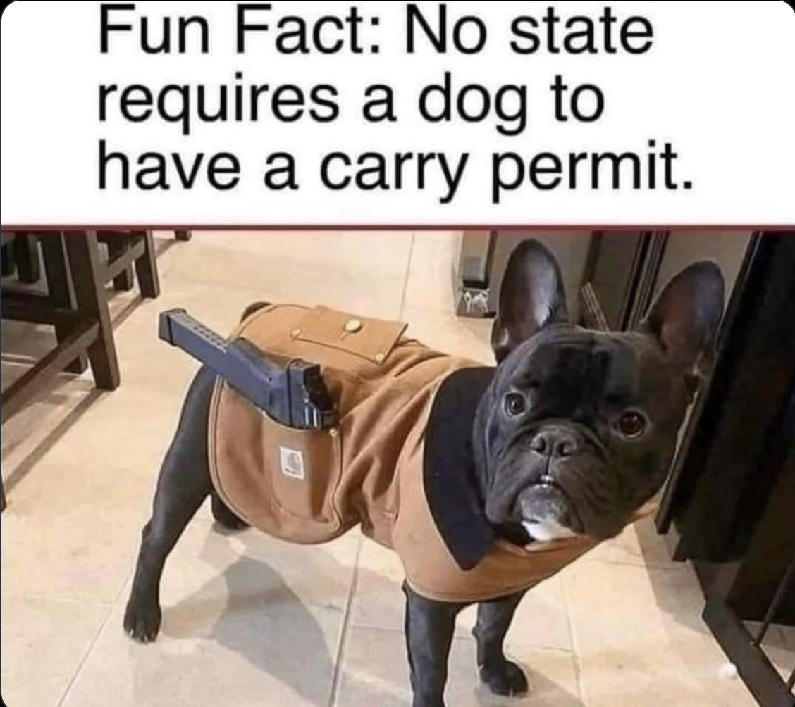 Pug gun