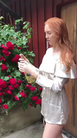 Redhead bottle fall