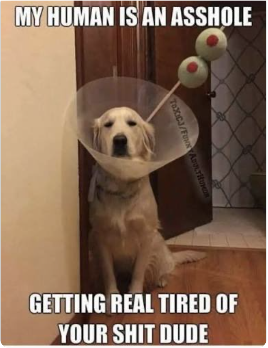 Screenshot 2025-12-22 at 9.23.22 AM