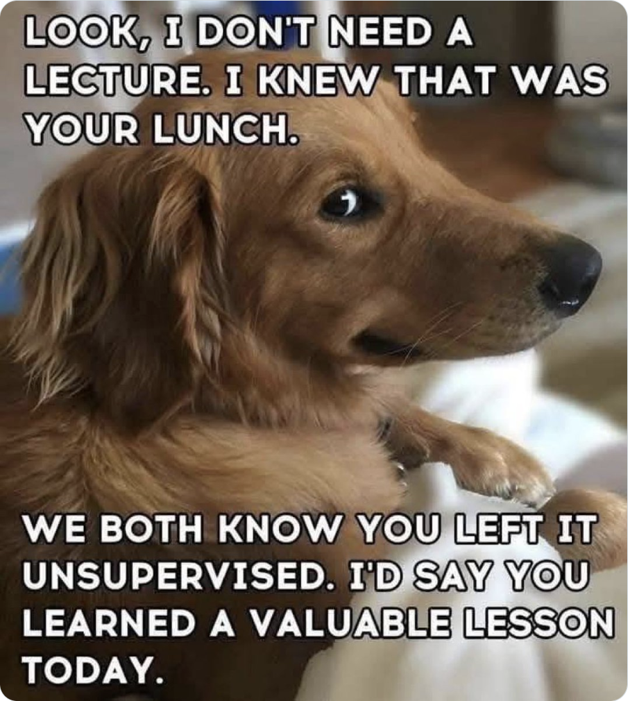 Screenshot 2025-12-22 at 9.24.21 AM