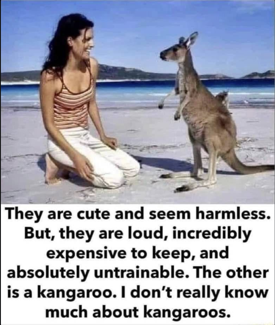 Screenshot 2026-01-24 at 8.27.45 PM