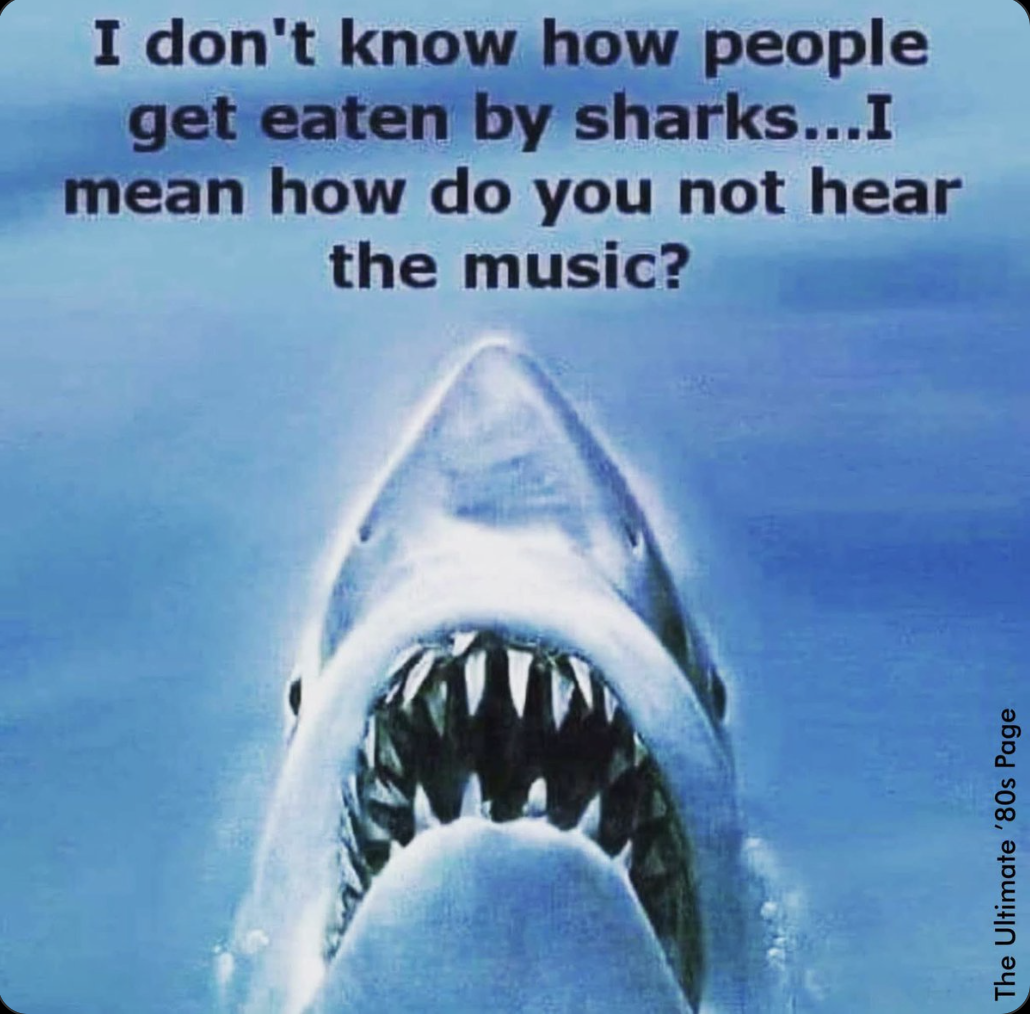 Shark Music