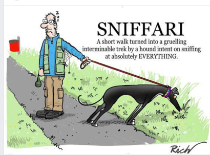 Sniffari