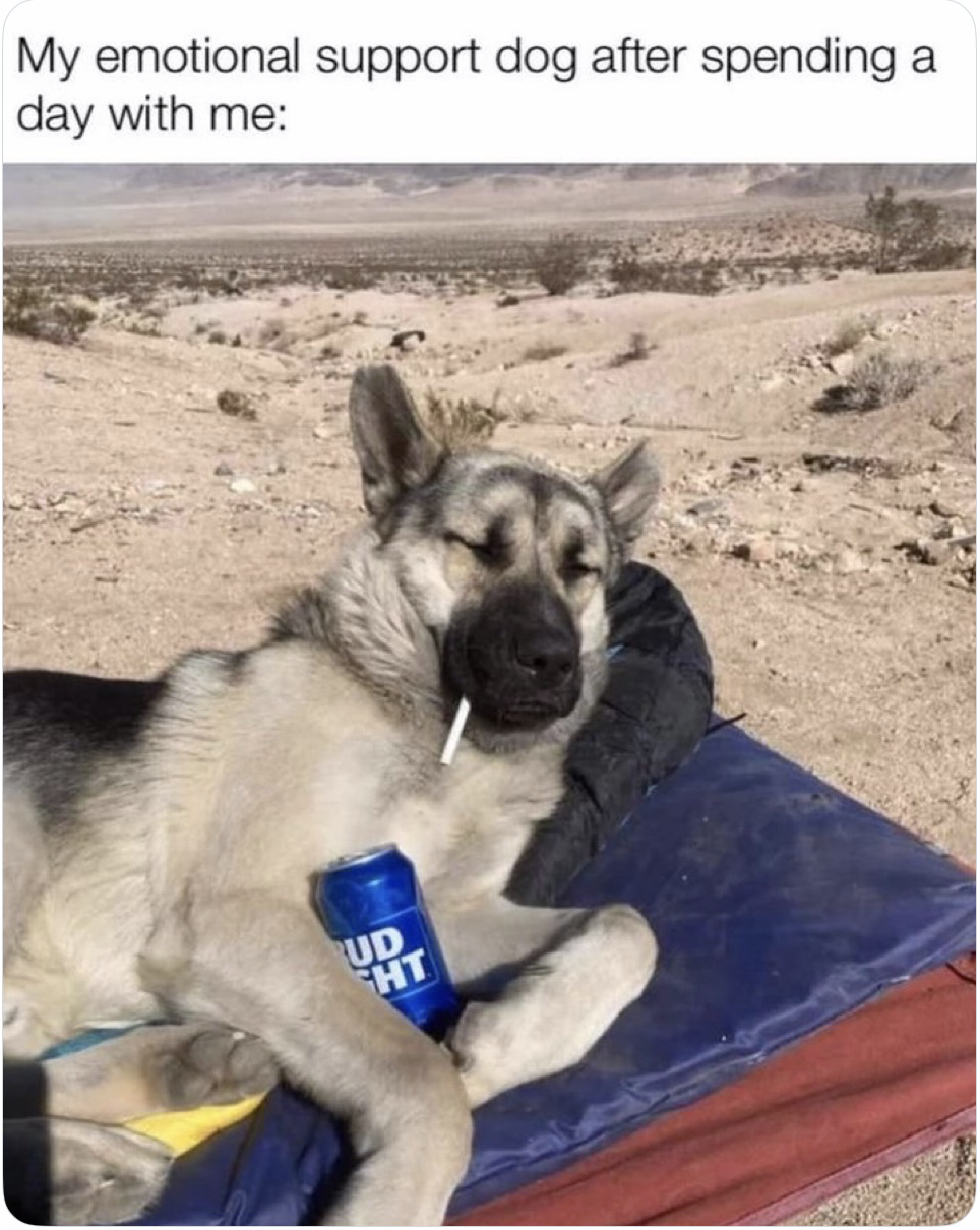 Support Dog