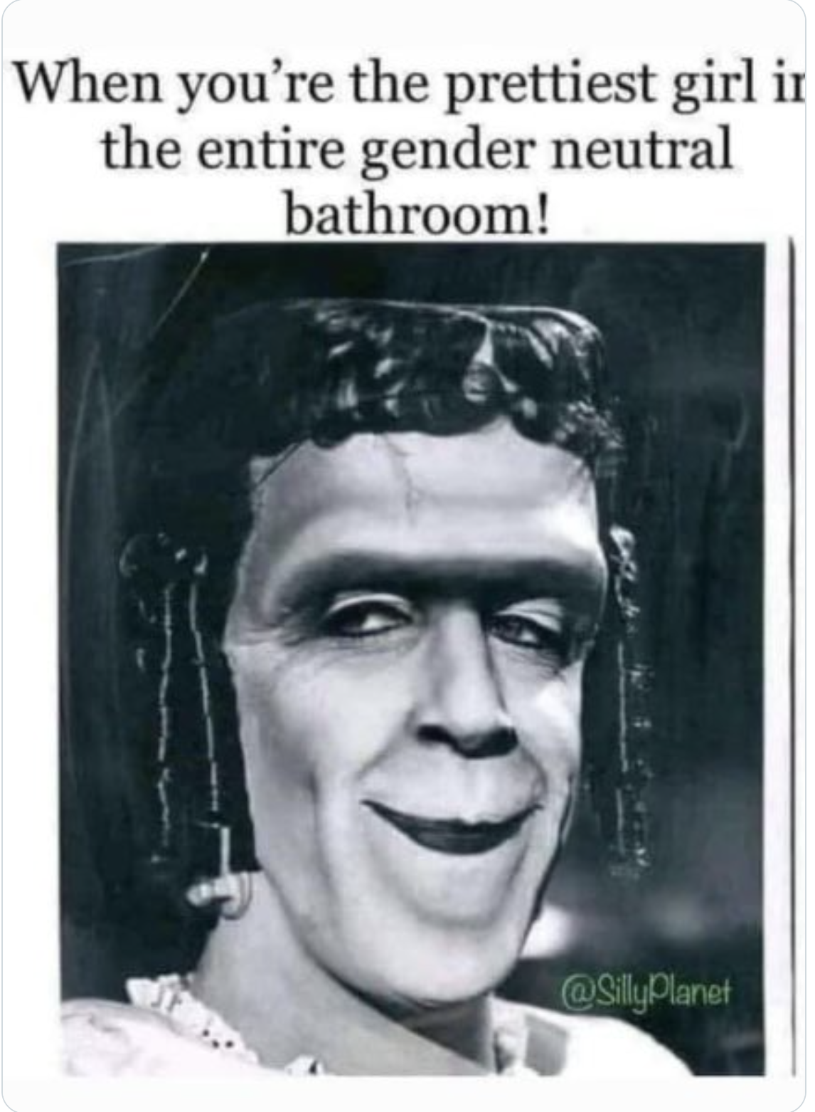 Trans Herman