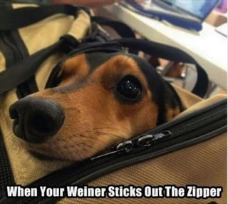 Weiner.jpg