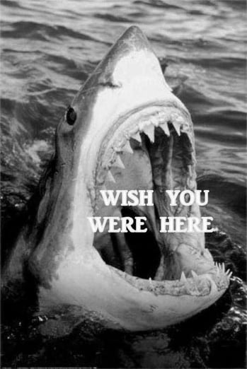 Wish You Here.jpg