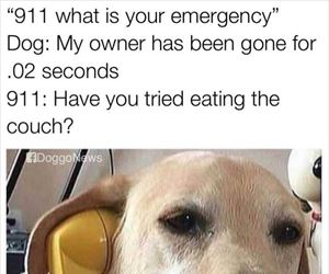 a-dog-emergency_th