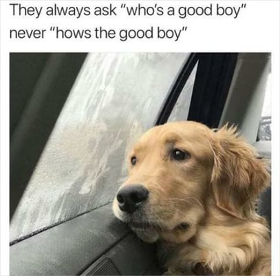 always-ask-who-is-a-good-boy