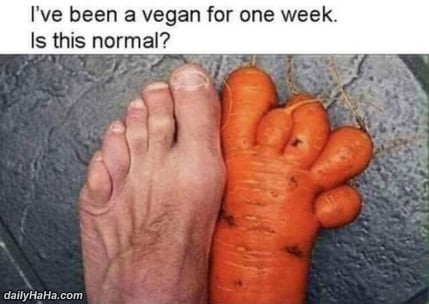been_a_vegan_for_a_week-2