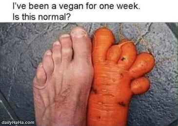 been_a_vegan_for_a_week.jpg