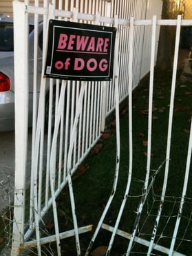 beware of loose dog