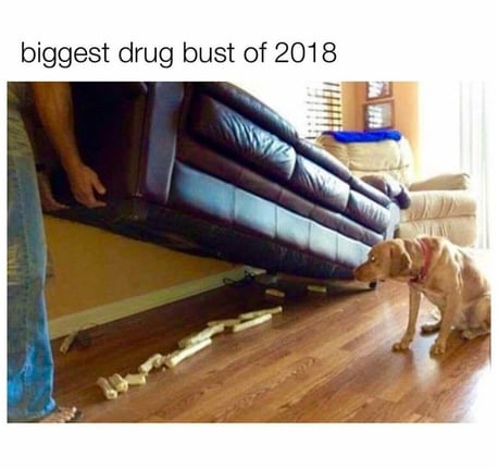 biggest-drug-bust-of-the-year-2