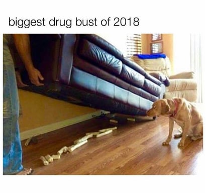 biggest-drug-bust-of-the-year
