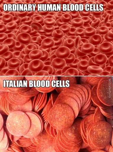 blood-cells-3