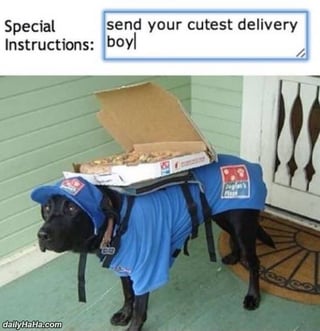 cutest_delivery_boy.jpg