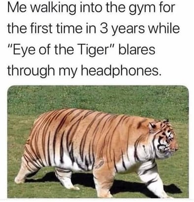 eye-of-the-tiger
