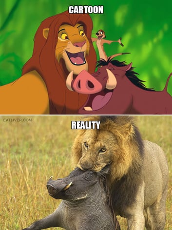 lion-king-reality
