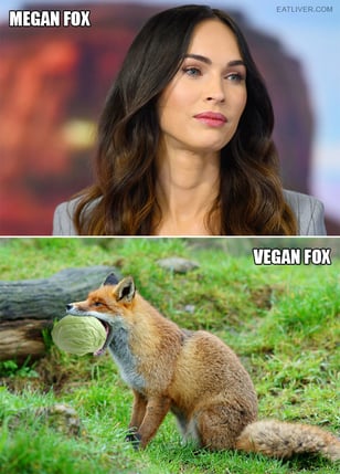 megan-fox