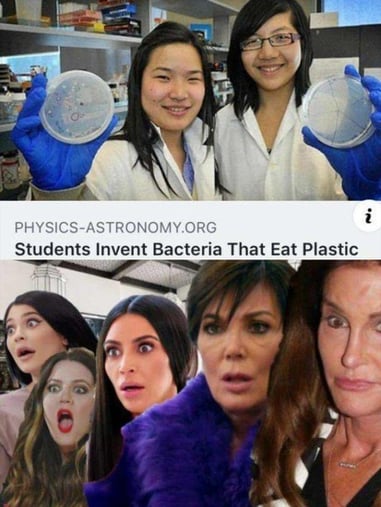 new-bacteria