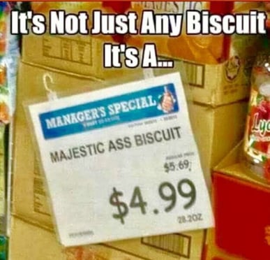 not-just-any-biscuit-1