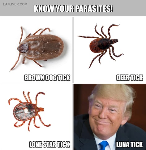 parasites