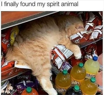 spirit-animal
