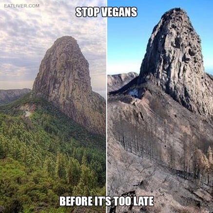 stop-vegans